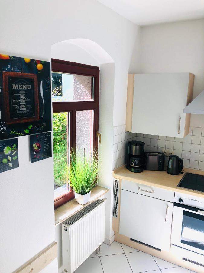 דרזדן Ferienwohnungen Mit Terrasse In Zwingernaehe - Hilger Rentals מראה חיצוני תמונה